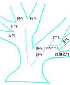 点击查看源网页